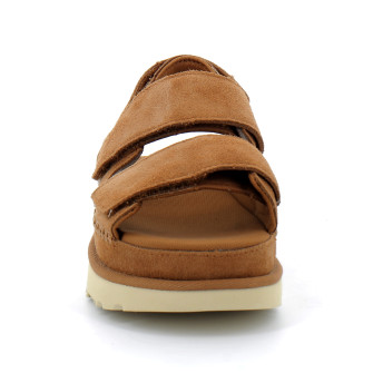 Goldenstar chestnut 1141493-che