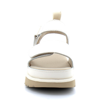 Goldenstar jasmine 1156431-jsm