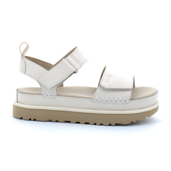 Goldenstar jasmine 1156431-jsm