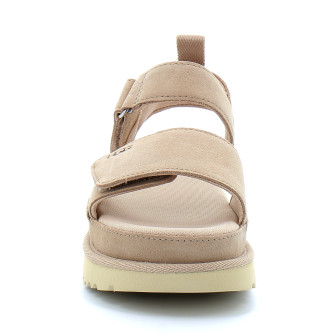 Goldenstar driftwood 1136783-dri