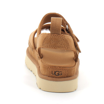 Goldenstar chestnut 1136783-che