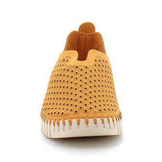 Chaussures pour femme Tulip golden 849