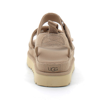 Goldenstar sand 1136783-sand